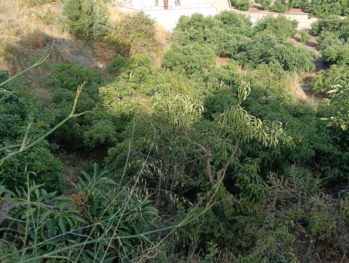 f55ff66bdb5542f433bd65522f094ae9 - 4