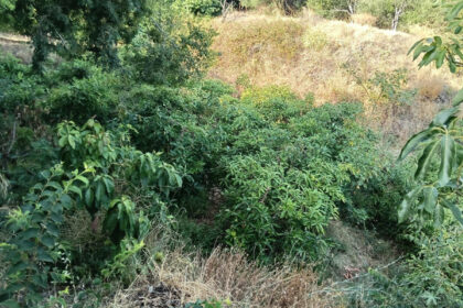 f55ff66bdb5542f433bd65522f094ae9 - 5