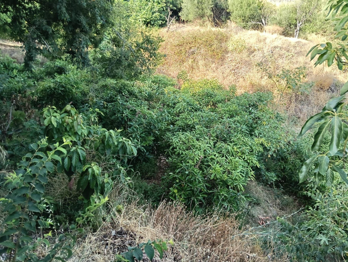 f55ff66bdb5542f433bd65522f094ae9 - 5