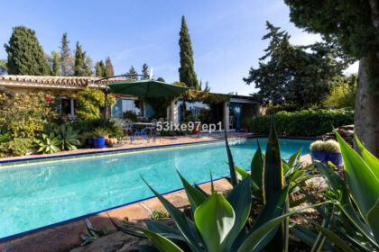 f6097935ac9431f51c3df5142efcdcf1 - 33