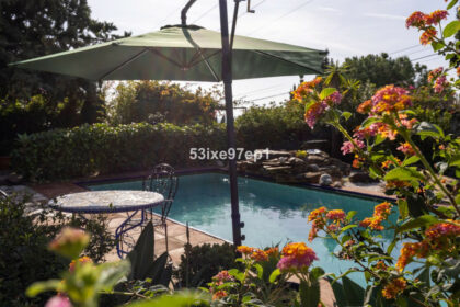 f6097935ac9431f51c3df5142efcdcf1 - 40