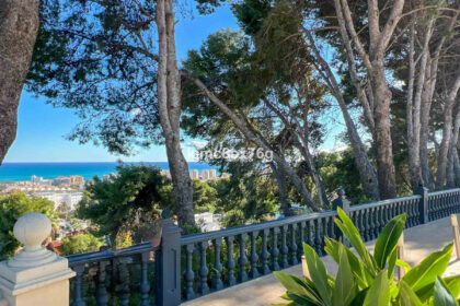 f6a10d5ddb273f9f87a84bcb24f4f31c - 7