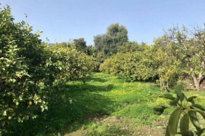 f77aca232fb32d7e97a88a8c66072be2 - 17