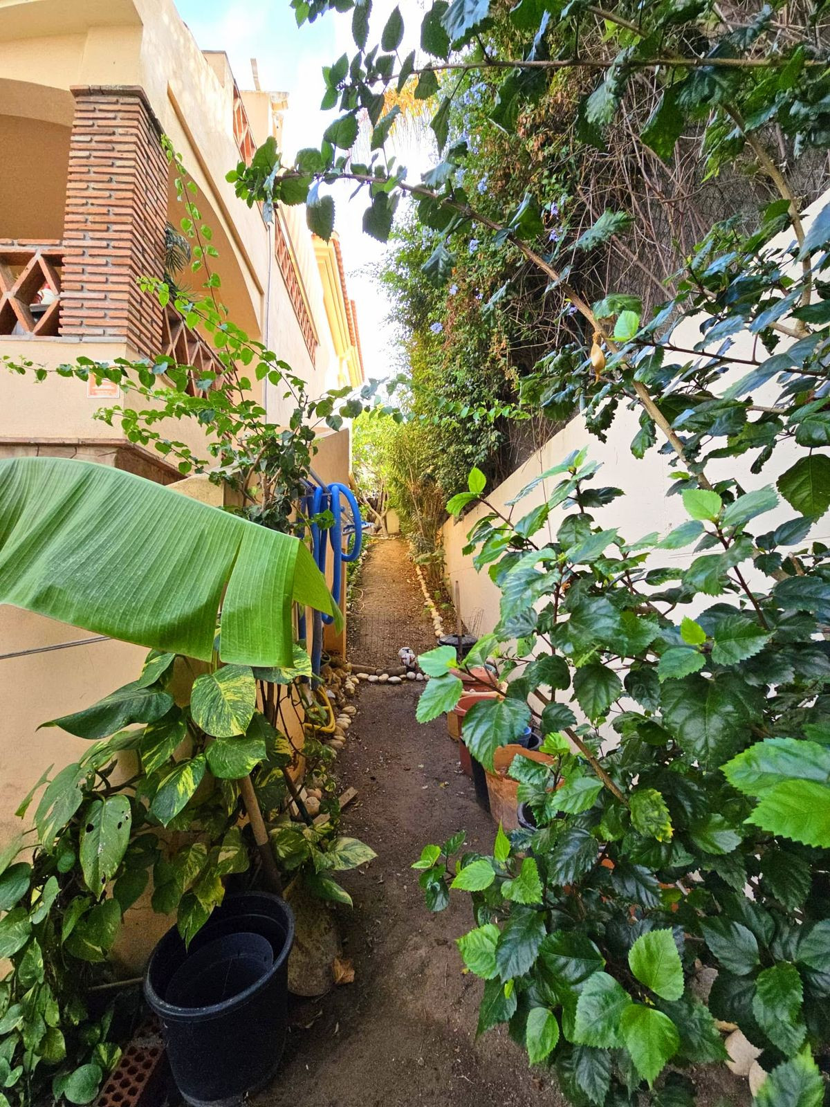 faedd72f035b8d90f5f6c512d56d6f61 - 17