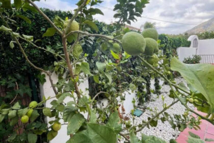 fdfcca9f680f0545c08eab68f66259c6 - 6