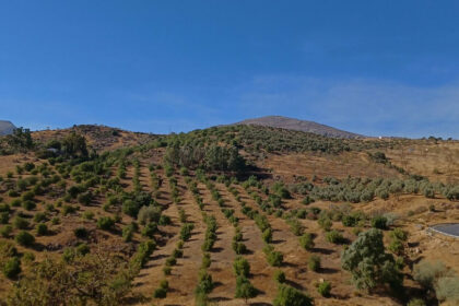 01a5b8c6e5e3f5b95cdd872214af1765 - 1