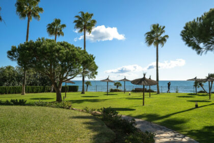 03f09efc76b1e4ba8fec291f12631082 - 30