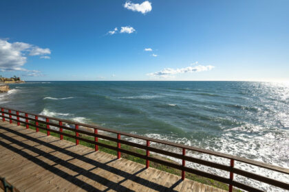 03f09efc76b1e4ba8fec291f12631082 - 33