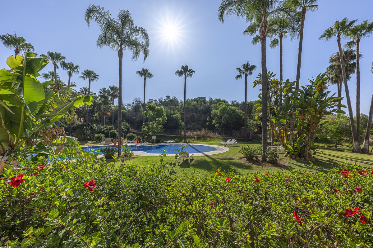 0c691b9d8e2929a24d1675a7f1d83b62 - 31