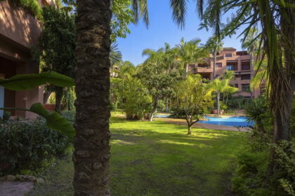 0ca553b58d6135921255a328e6ba534b - 24