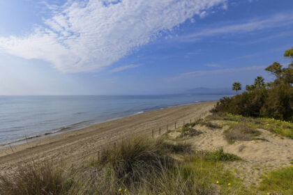 0ca553b58d6135921255a328e6ba534b - 35