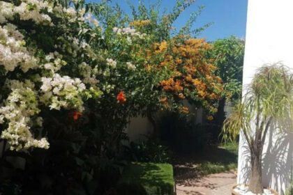 0f46bdc9aadb6a1c221b02c574248e9b - 10