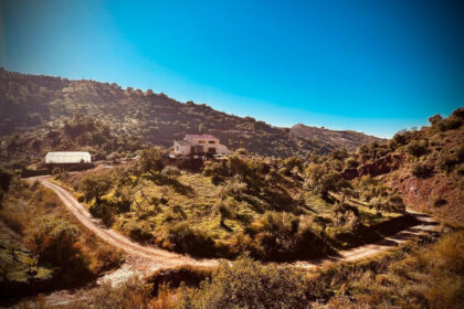 12af1f94f57c6e9fa565d14f738a8606 - 1