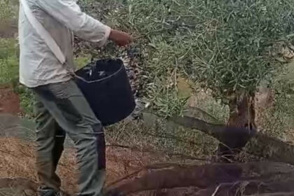 12af1f94f57c6e9fa565d14f738a8606 - 15