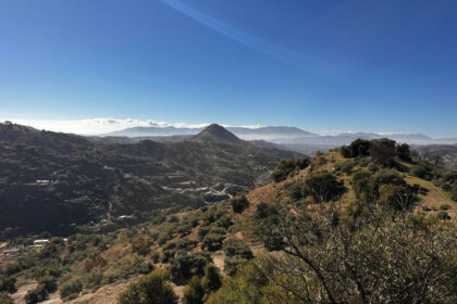 12af1f94f57c6e9fa565d14f738a8606 - 5