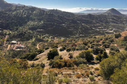 12af1f94f57c6e9fa565d14f738a8606 - 6