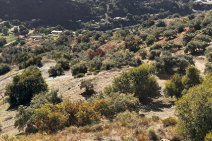 12af1f94f57c6e9fa565d14f738a8606 - 8