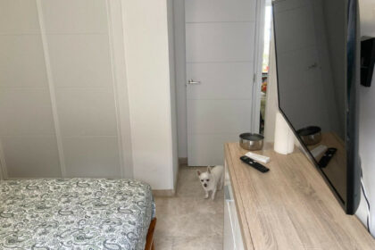 13f874195244cf2930a8106f368ce113 - 19