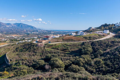 1657939259d2521b50305ab388fa1ade - 10