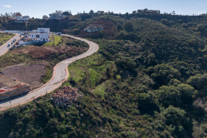 1657939259d2521b50305ab388fa1ade - 12