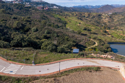 1657939259d2521b50305ab388fa1ade - 13