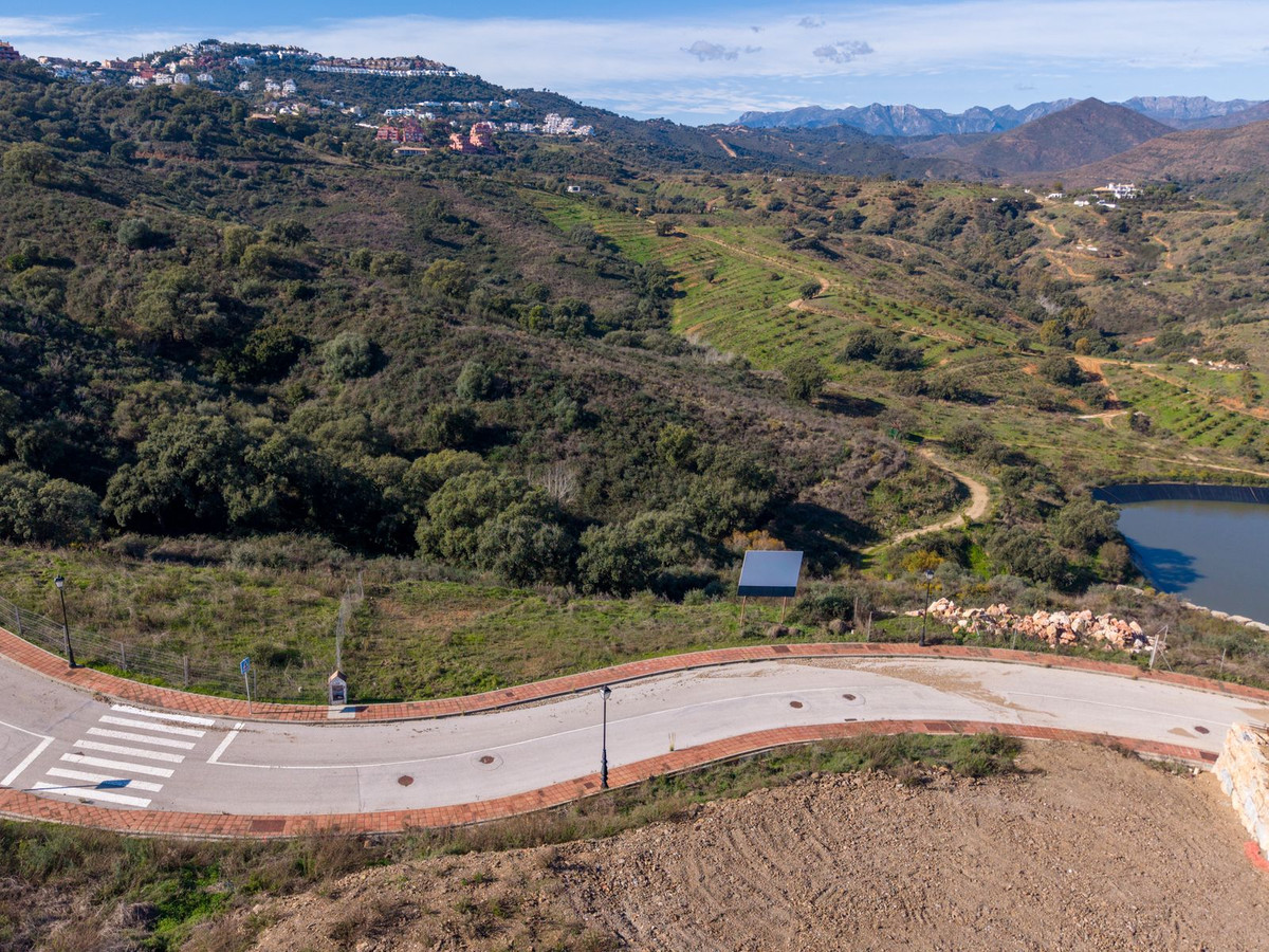 1657939259d2521b50305ab388fa1ade - 13