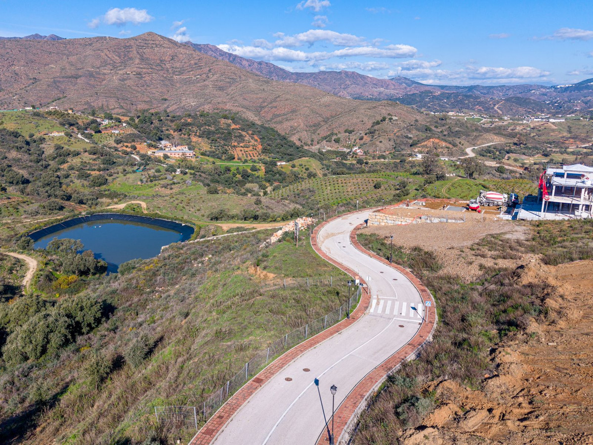 1657939259d2521b50305ab388fa1ade - 14