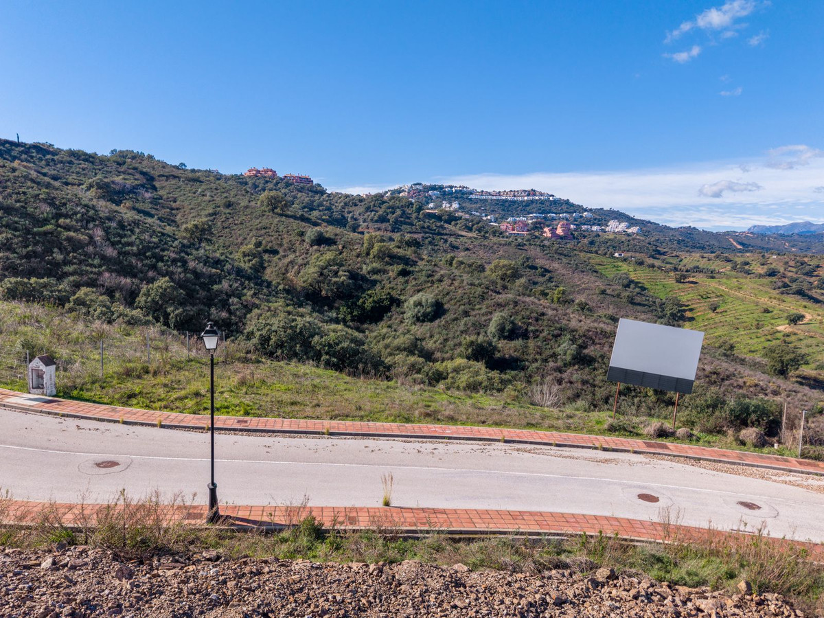 1657939259d2521b50305ab388fa1ade - 16