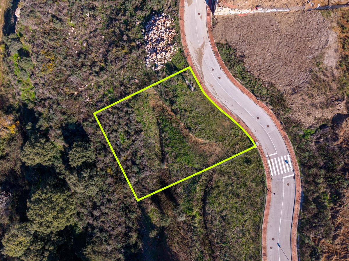 1657939259d2521b50305ab388fa1ade - 2