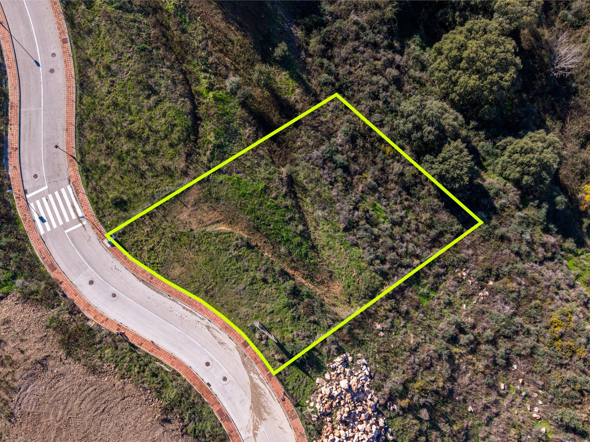 1657939259d2521b50305ab388fa1ade - 3