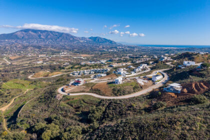 1657939259d2521b50305ab388fa1ade - 4