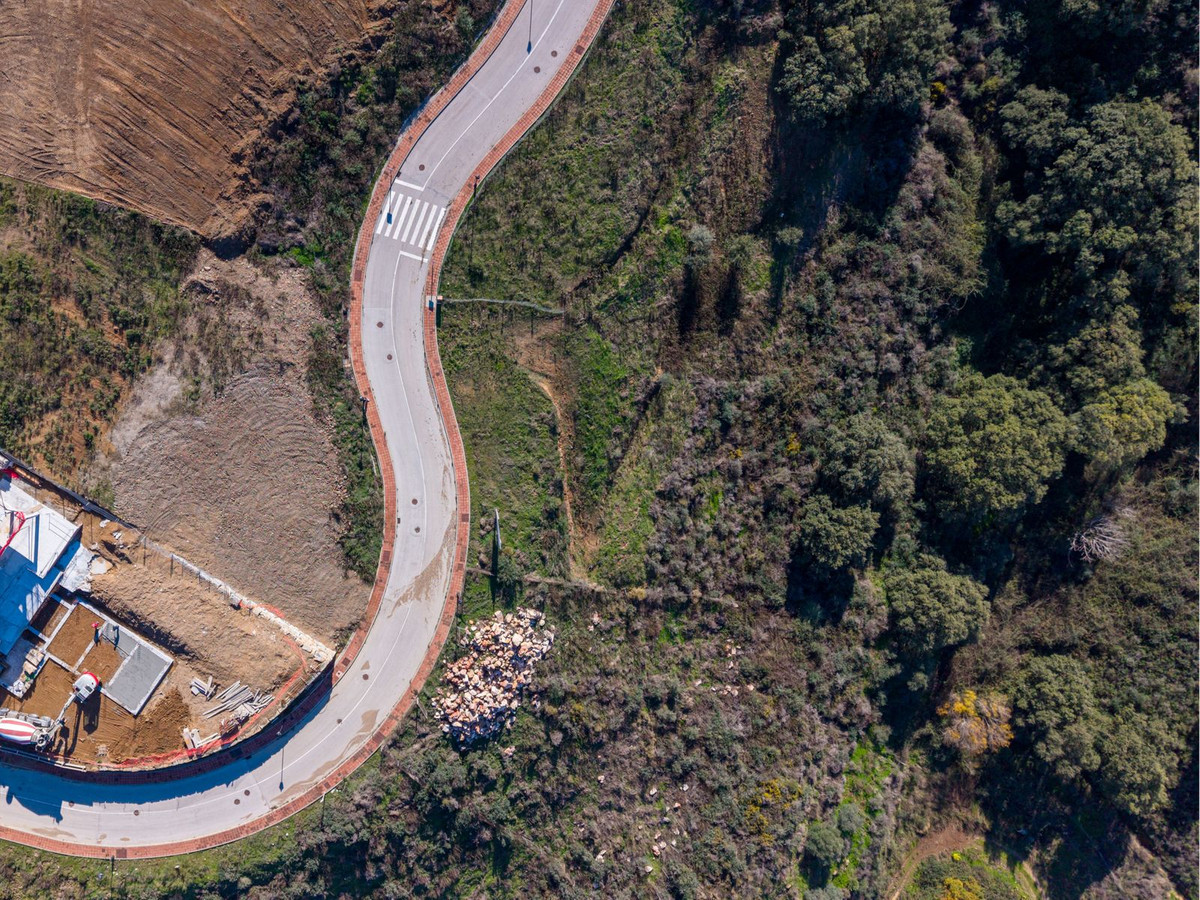 1657939259d2521b50305ab388fa1ade - 5