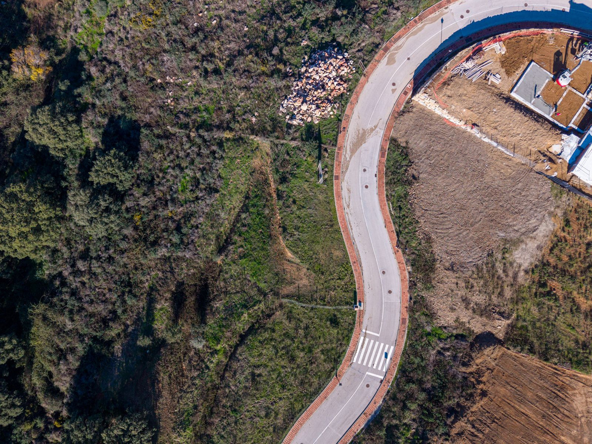 1657939259d2521b50305ab388fa1ade - 6