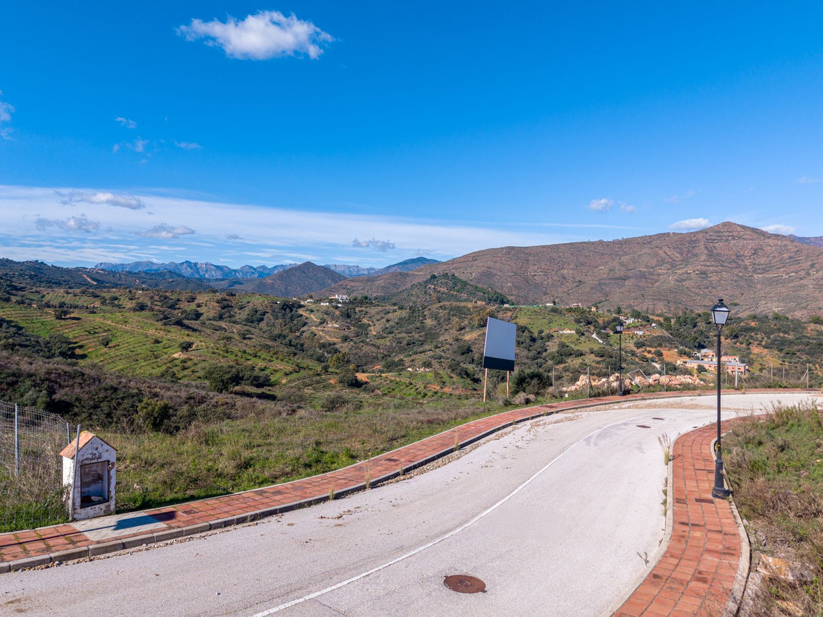 1657939259d2521b50305ab388fa1ade - 7