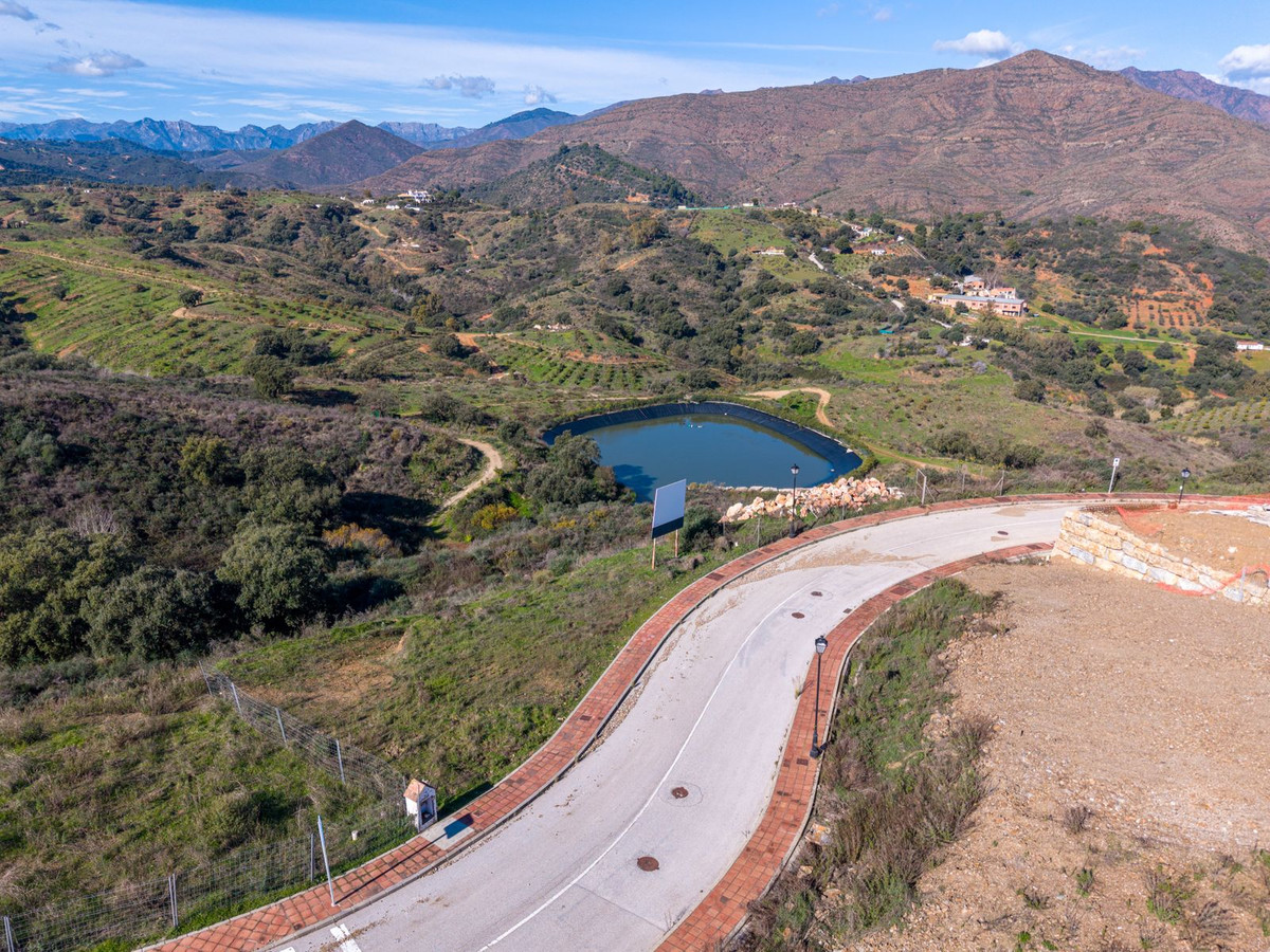 1657939259d2521b50305ab388fa1ade - 8