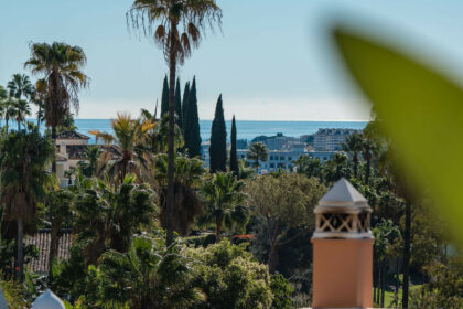 16892be948d2a5515f9e901170de3cbf - 29