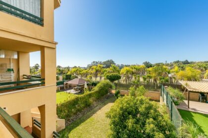 1b9836136a49a51edb3fe6619a1bca3b - 19