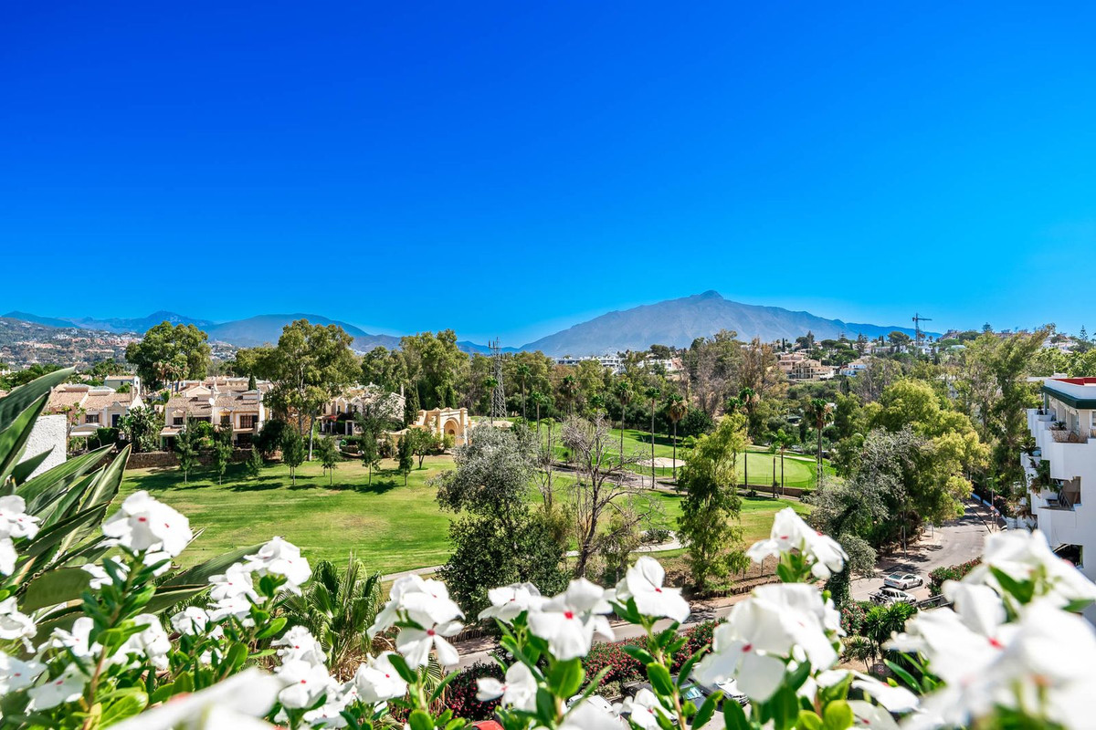 1bd0ae6e14aa49371893aa74a42811fa - 2