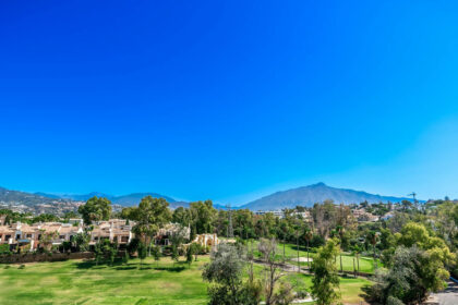 1bd0ae6e14aa49371893aa74a42811fa - 26