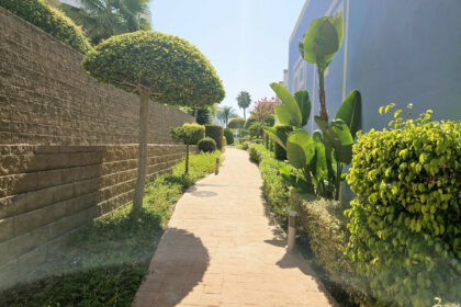 1ca0d3e757b452c6e5b6dbfa2200ec6f - 63