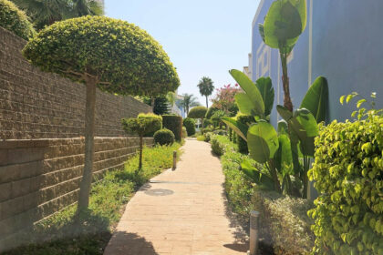 1ca0d3e757b452c6e5b6dbfa2200ec6f - 68