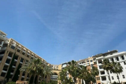 2336a12a0538dfd999939892779b3c73 - 1