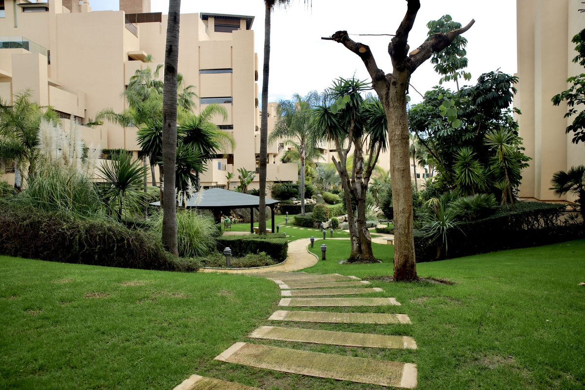 23c5eb68c93c9a48305b9d45a4730582 - 18