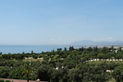 2821ee6ac25811631d40a065ac4cf91f - 3