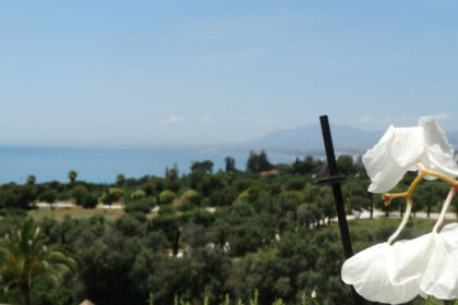 2821ee6ac25811631d40a065ac4cf91f - 4