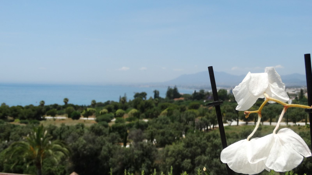 2821ee6ac25811631d40a065ac4cf91f - 4