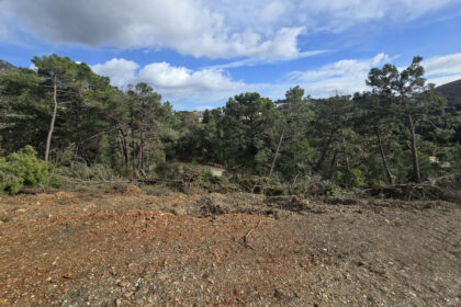 2ede6f8532498a734391c5f069607224 - 11