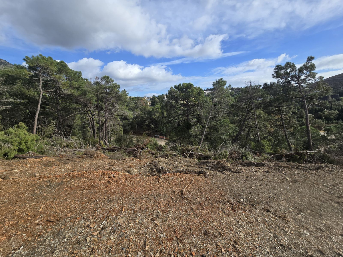 2ede6f8532498a734391c5f069607224 - 11