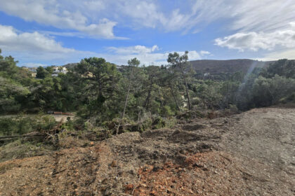 2ede6f8532498a734391c5f069607224 - 12