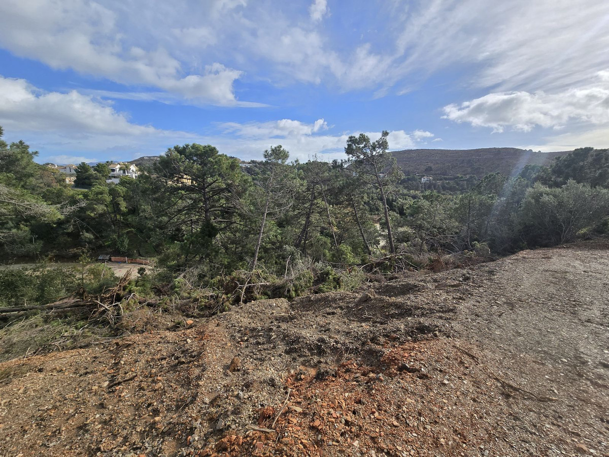 2ede6f8532498a734391c5f069607224 - 12